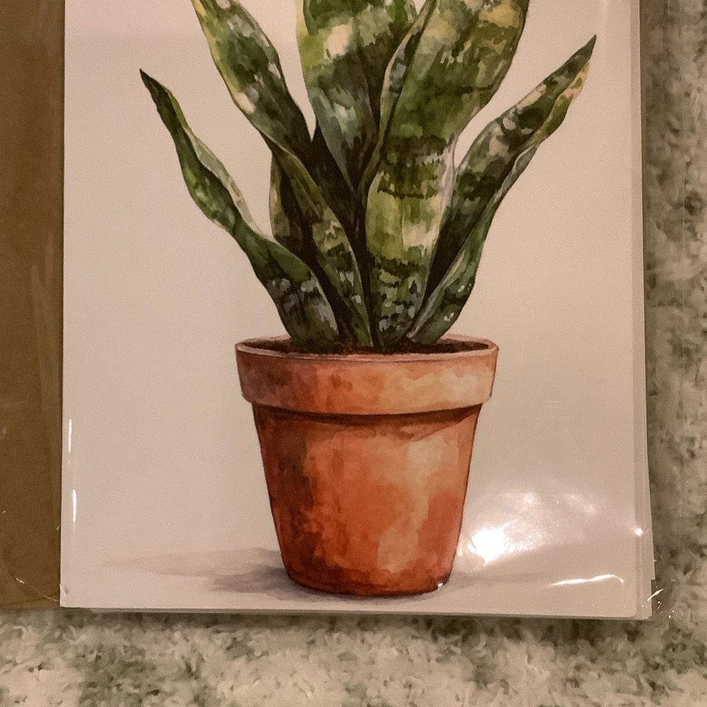 Green Plants Watercolor Variety Note Cards Set of Six NWT 4.25x5.5” - Picture 4 of 13